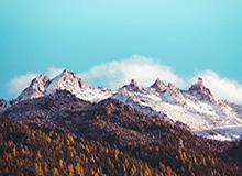 约基奇56+16+15爱德华兹44+6 掘金加时胜森林狼